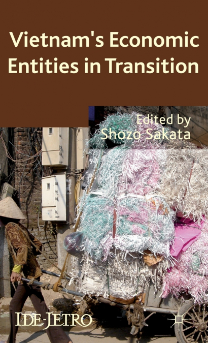 Vietnam’s Economic Entities in Transition