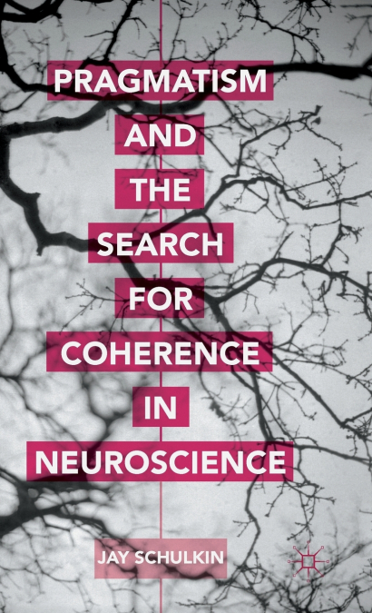 Pragmatism and the Search for Coherence in Neuroscience
