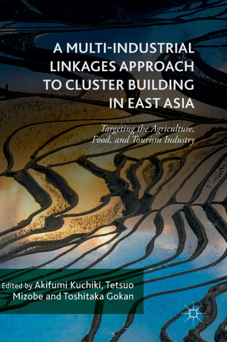 A Multi-Industrial Linkages Approach to Cluster Building in East Asia