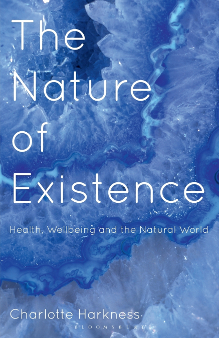 The Nature of Existence