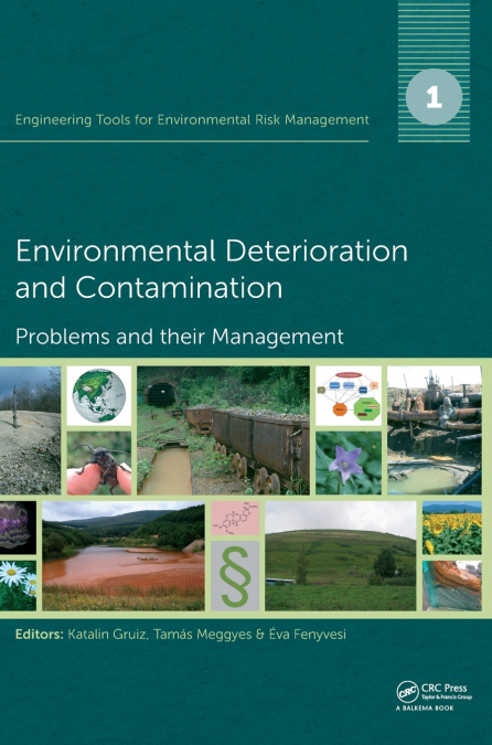 Engineering Tools for Environmental Risk Management