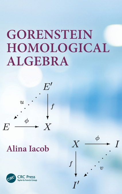 Gorenstein Homological Algebra