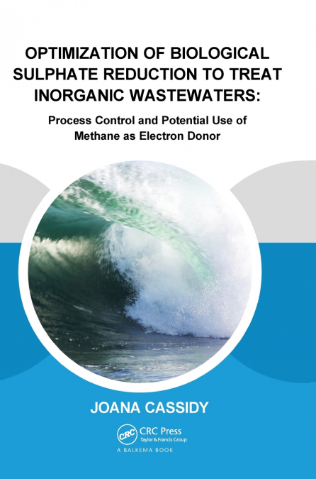 Optimization of Biological Sulphate Reduction to Treat Inorganic Wastewaters
