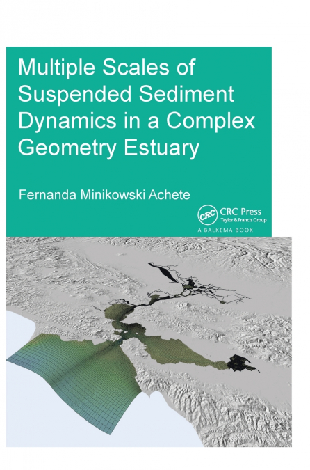 Multiple Scales of Suspended Sediment Dynamics in a Complex Geometry Estuary