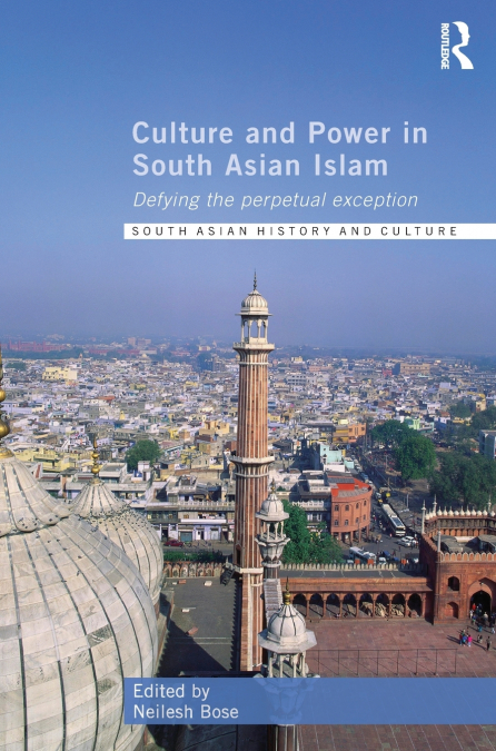 Culture and Power in South Asian Islam