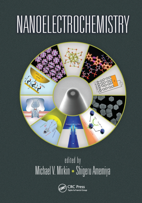 Nanoelectrochemistry