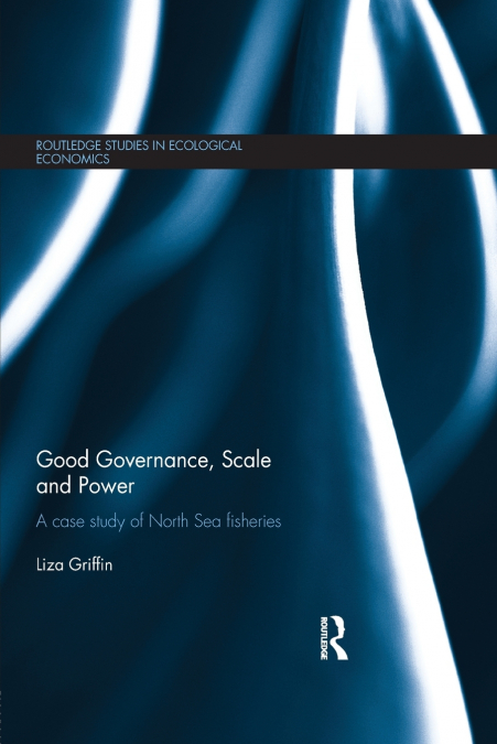 Good Governance, Scale and Power
