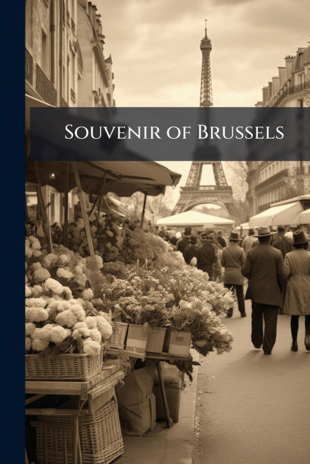 Souvenir of Brussels