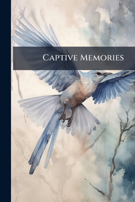 Captive Memories