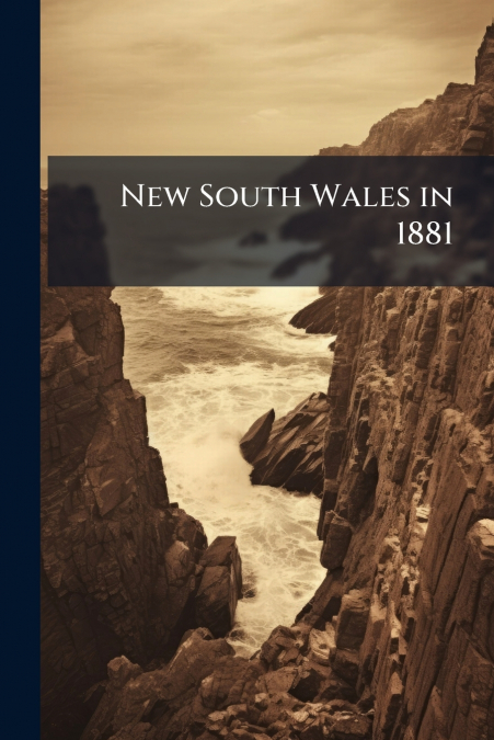 New South Wales in 1881
