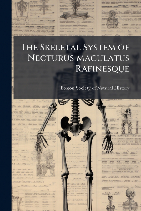 The Skeletal System of Necturus Maculatus Rafinesque