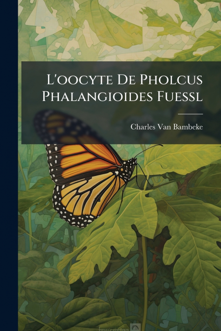 L’oocyte De Pholcus Phalangioides Fuessl