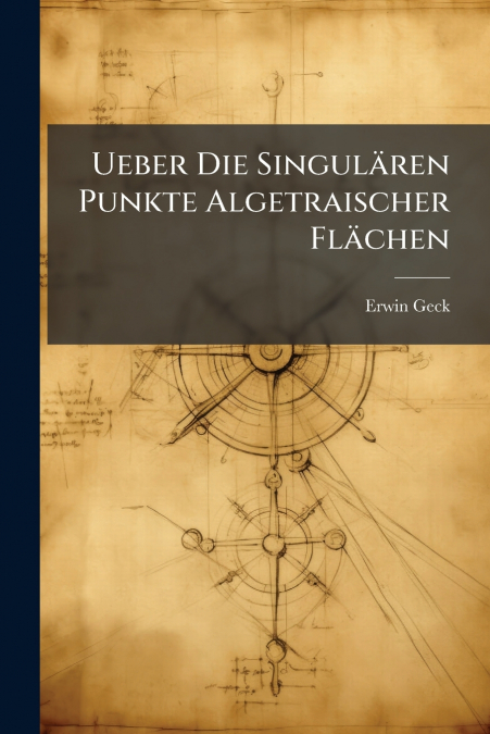 Ueber Die Singulären Punkte Algetraischer Flächen