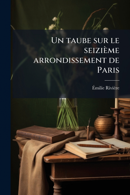 Un taube sur le seizième arrondissement de Paris