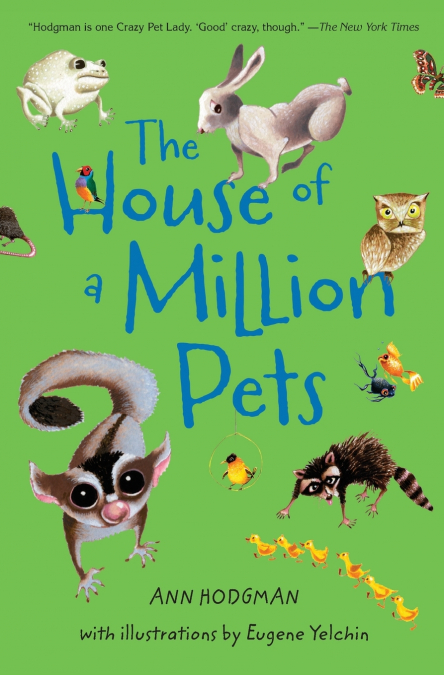 House of a Million Pets