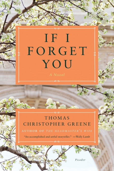 If I Forget You