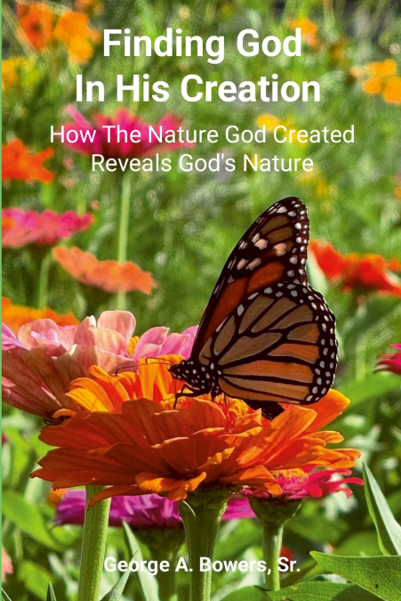 Finding God in His Creation