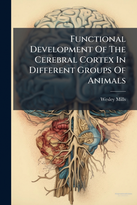 Functional Development Of The Cerebral Cortex In Different Groups Of Animals