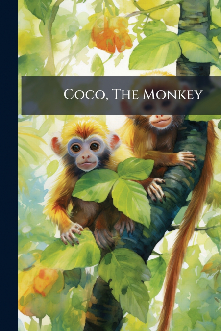 Coco, The Monkey