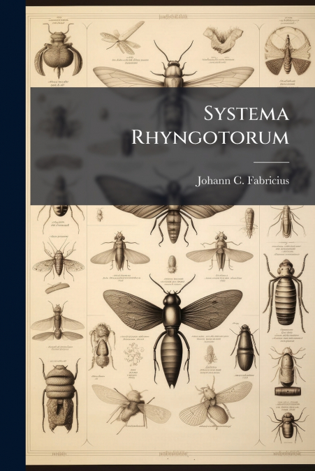 Systema Rhyngotorum