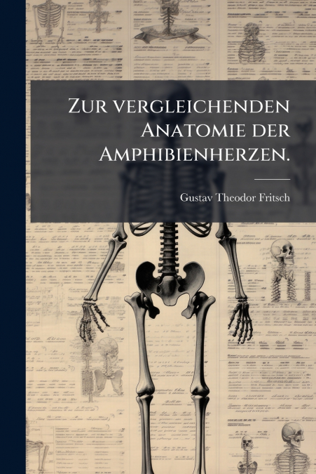 Zur vergleichenden Anatomie der Amphibienherzen.