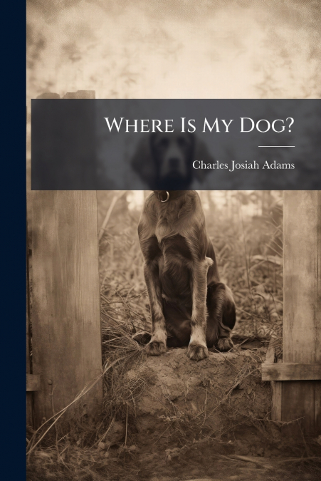 Where Is My Dog?