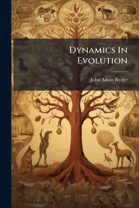 Dynamics In Evolution