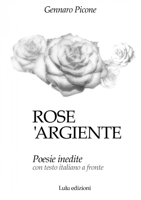 Rose ’argiente