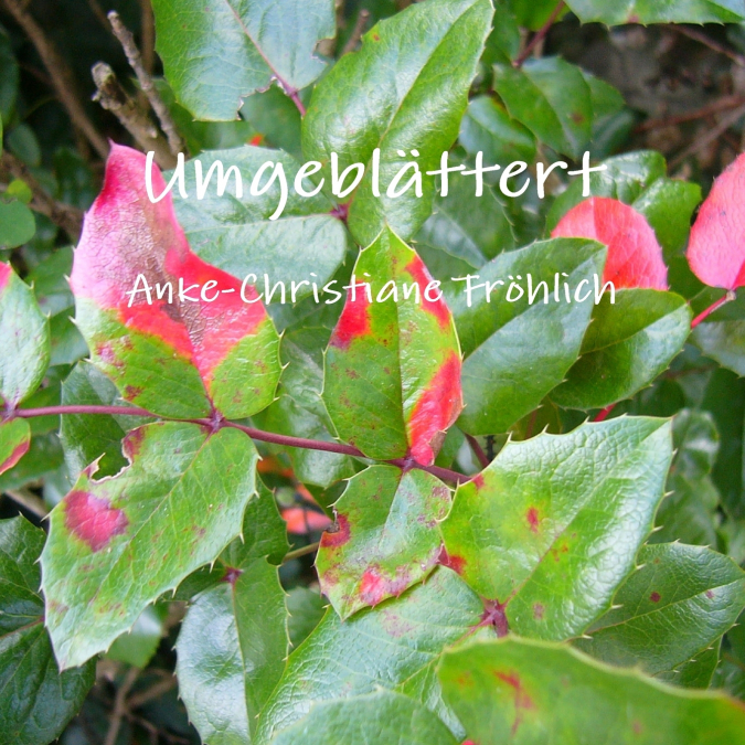 Umgeblättert