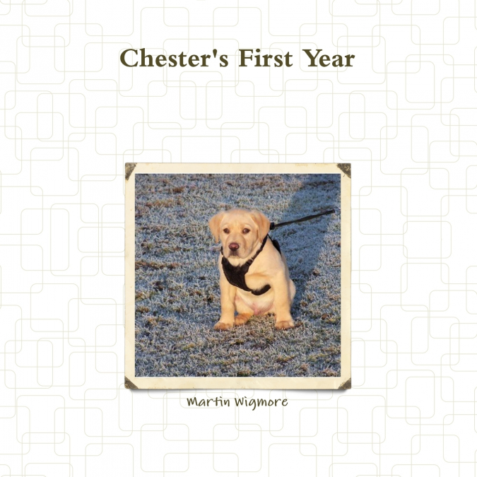 Chester’s First Year