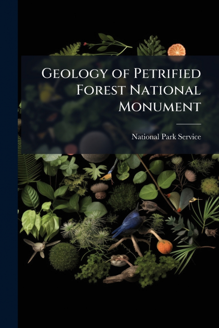 Geology of Petrified Forest National Monument