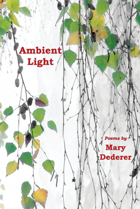 Ambient Light