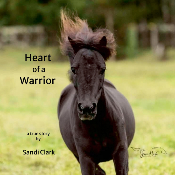 Heart of a Warrior