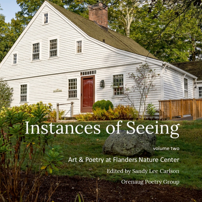 Instances of Seeing, Volume 2