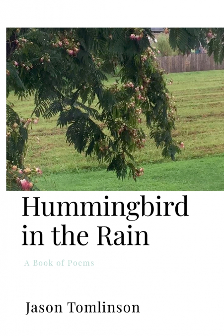 Hummingbird in the Rain