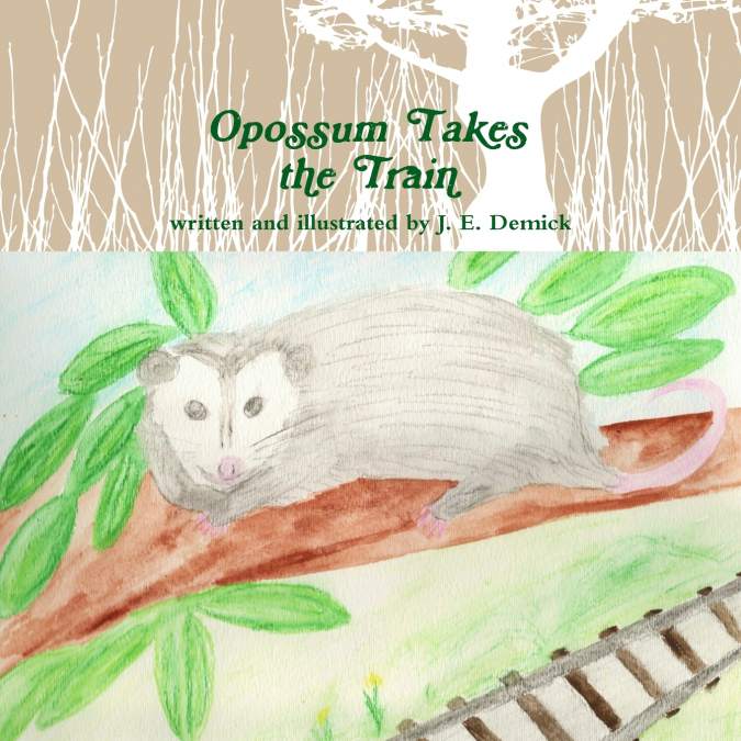 Opossum Takes the Train