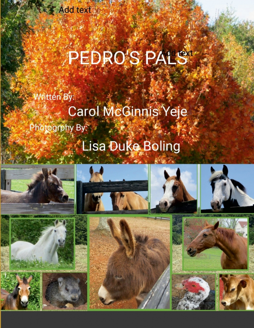 Pedro’s Pals