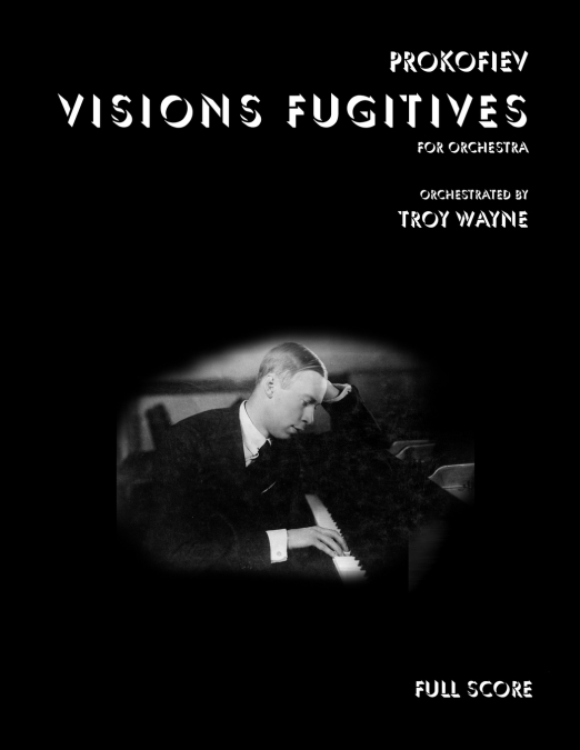 Visions Fugitives