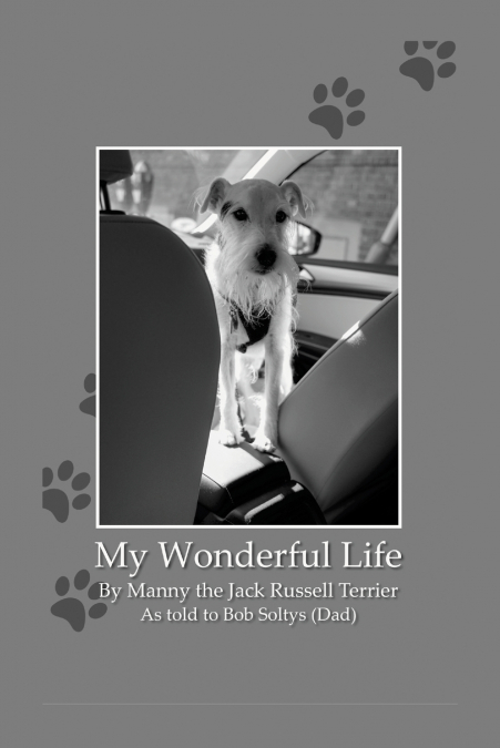 My Wonderful Life