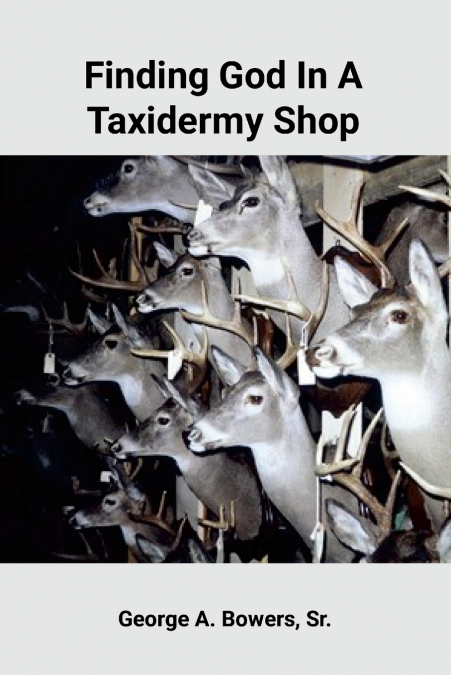 Finding God In A Taxidermy Shop