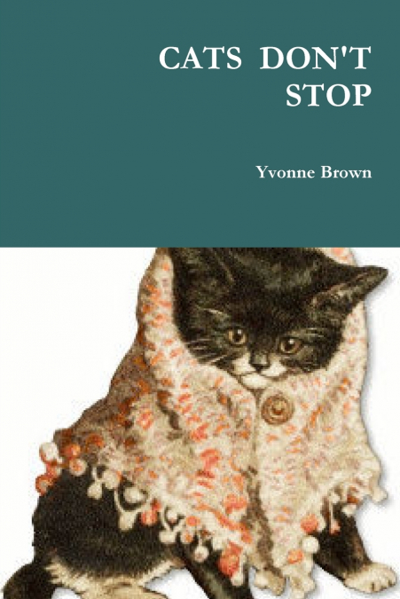 Cats Don’t Stop