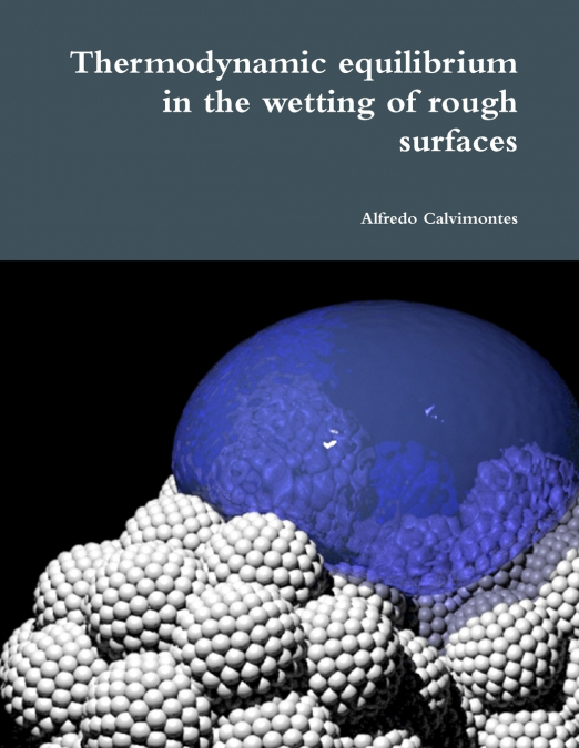 Thermodynamic equilibrium in the wetting of rough surfaces