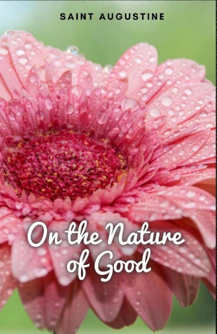 On the Nature of Good