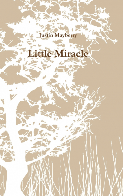 Little Miracle
