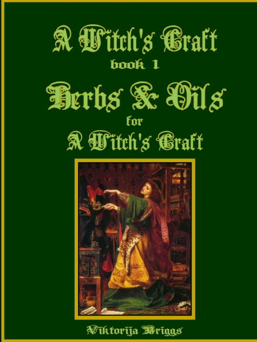 A Witch’s Craft, Book 1