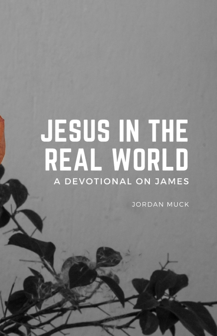 Jesus in the Real World (A Devotional on James)
