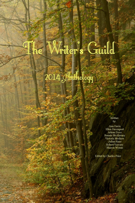 The Writer’s Guild 2014 Anthology