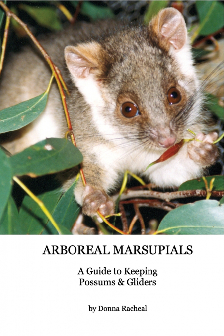 Arboreal Marsupials - Caring for Possums and Gliders