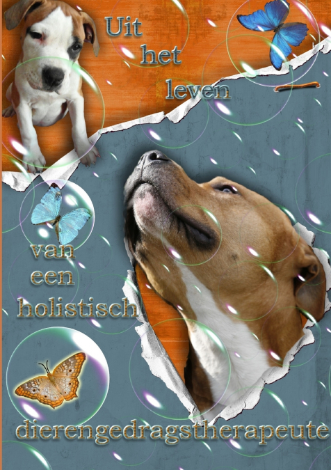 Uit het leven van een holistisch dierengedragstherapeute