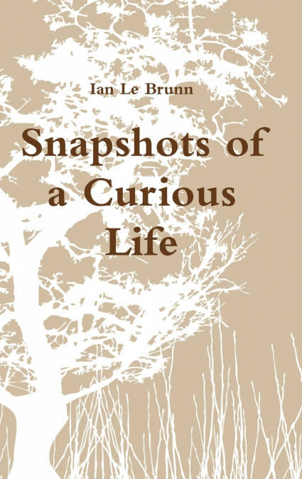 Snapshots of a Curious Life